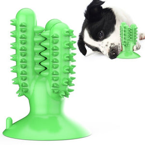 The Cleaning Cactus Dog Brush