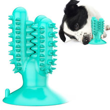 The Cleaning Cactus Dog Brush