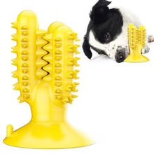 The Cleaning Cactus Dog Brush